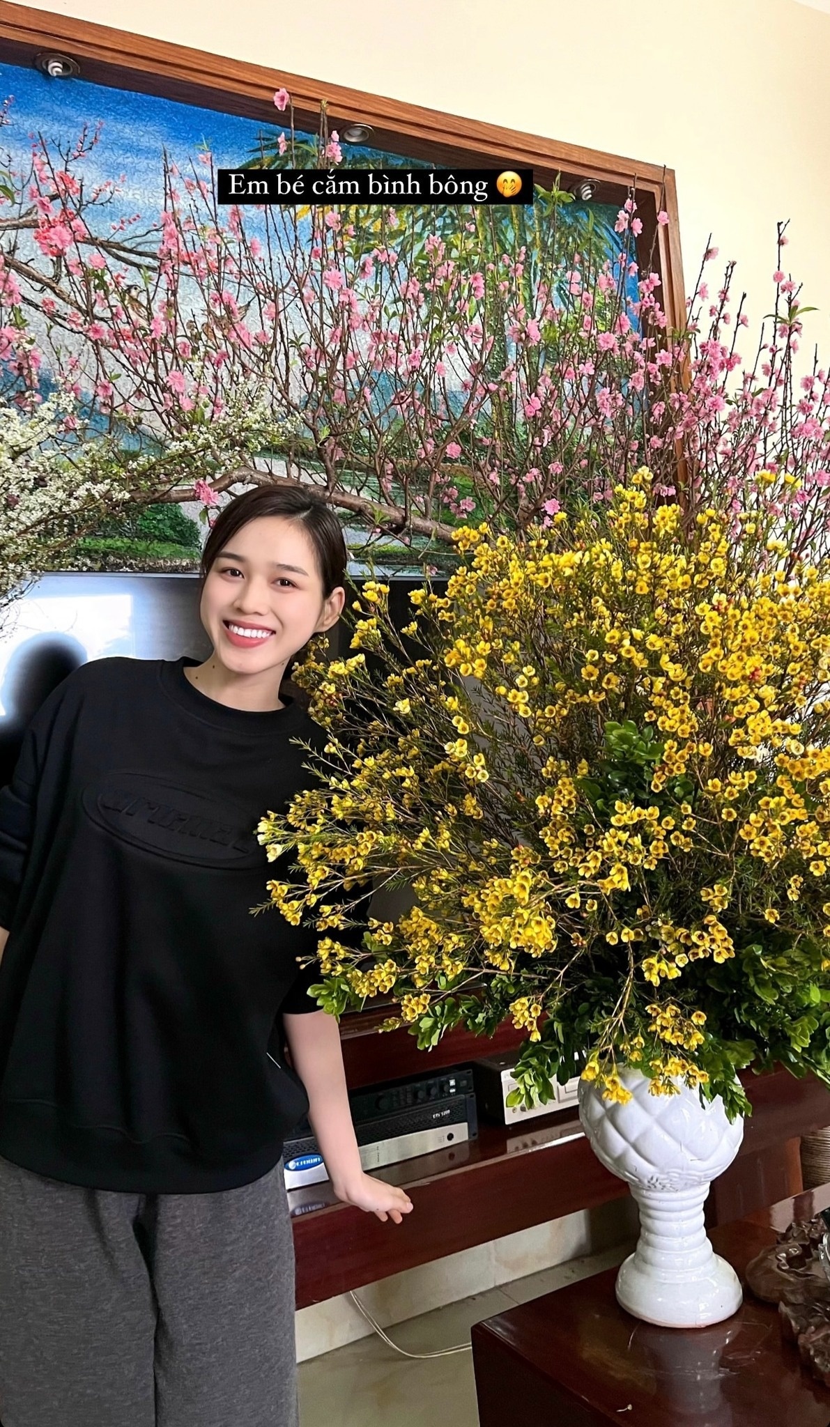 sao Việt đón Tết ảnh 9 sao Viet don Tet anh 9