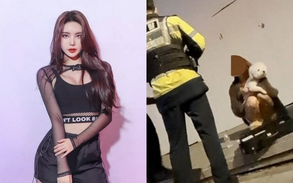 Nu DJ Han bi khoi to vi gay tai nan chet nguoi hinh anh