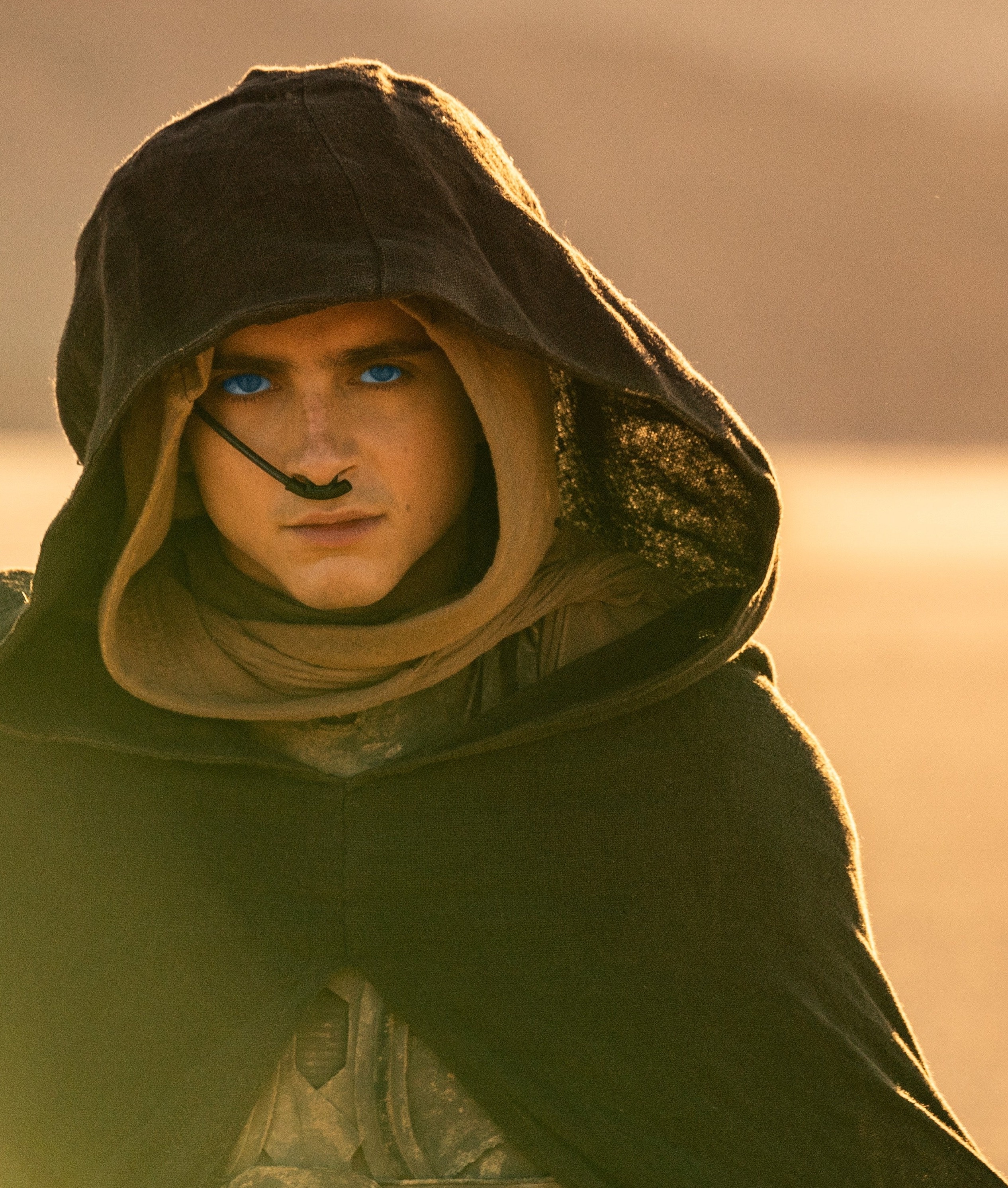 Timothee Chalamet anh 2