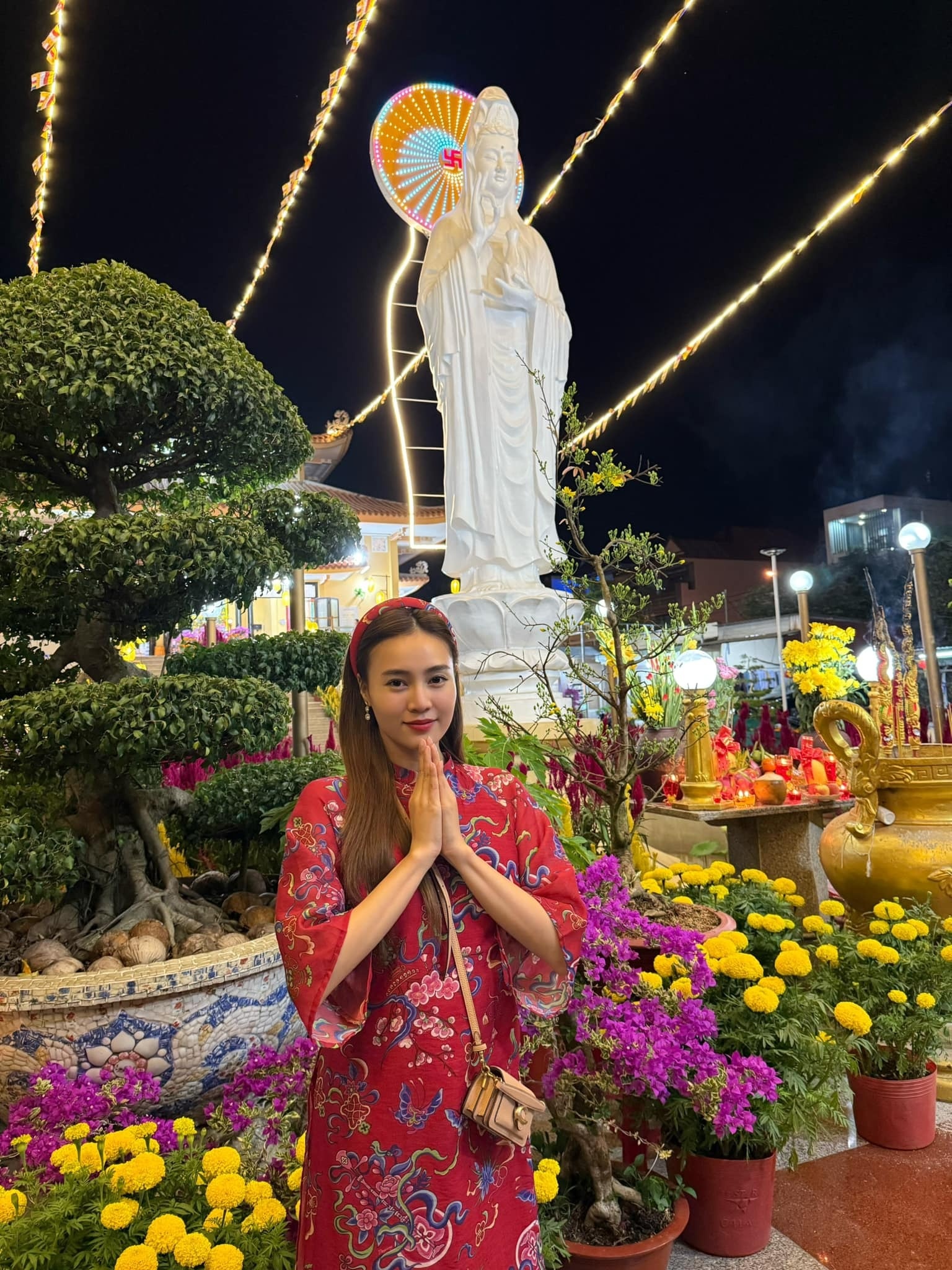 sao Viet nam moi anh 4