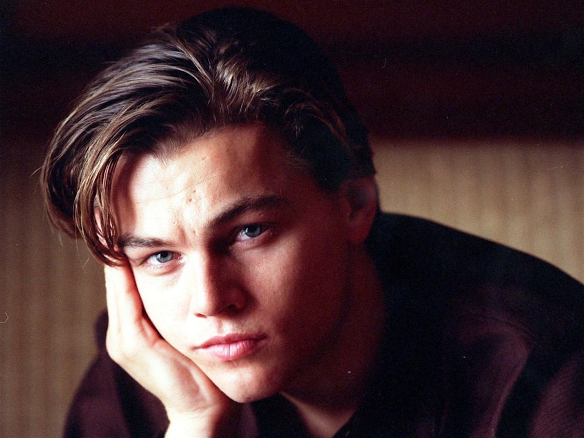 Leonardo DiCaprio bo vai anh 1