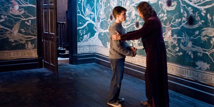 Harry Potter va Hoi Phuong hoang anh 2