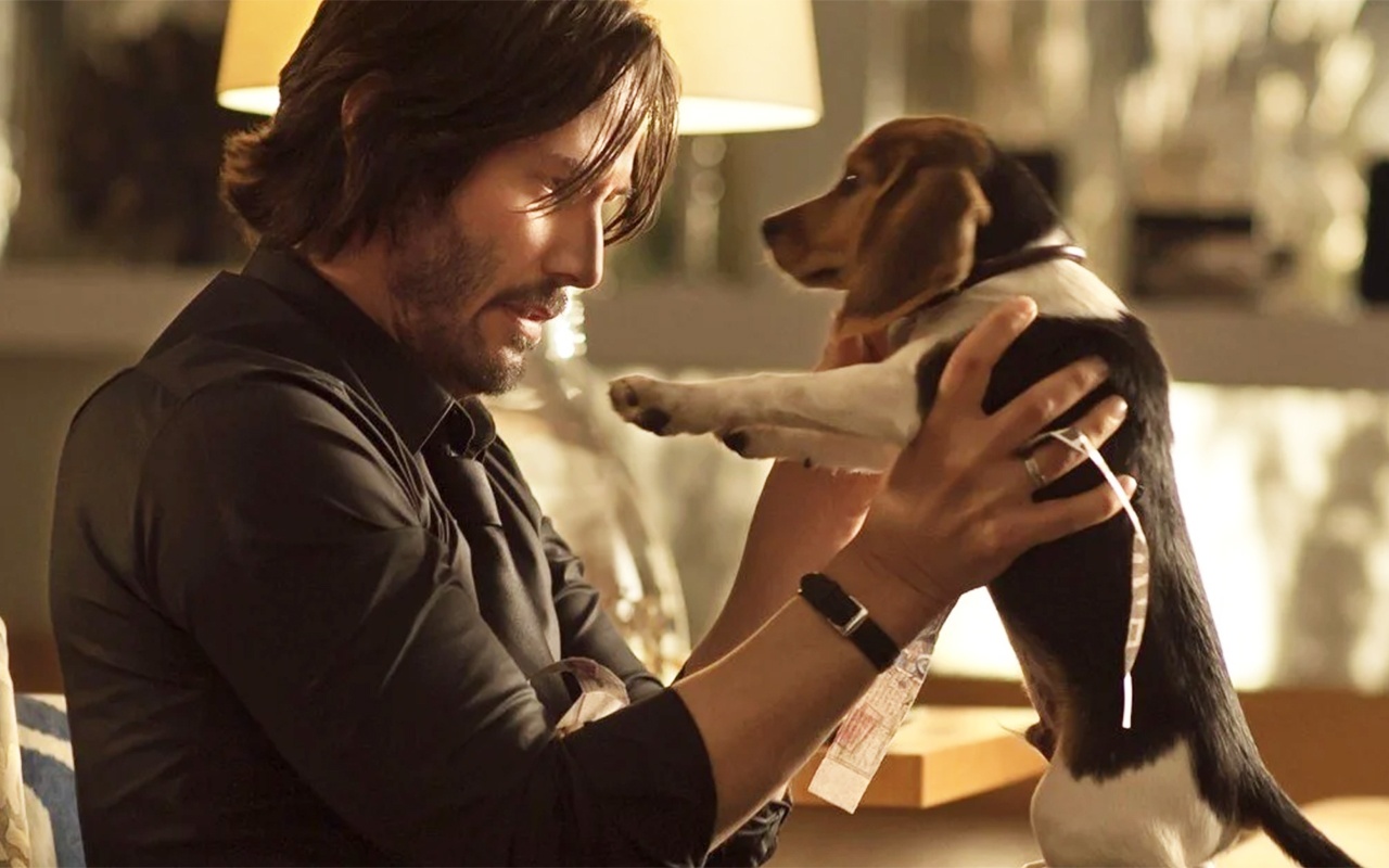 Vi sao cai chet cua chu cho trong 'John Wick' la chi tiet 'an tien'? hinh anh