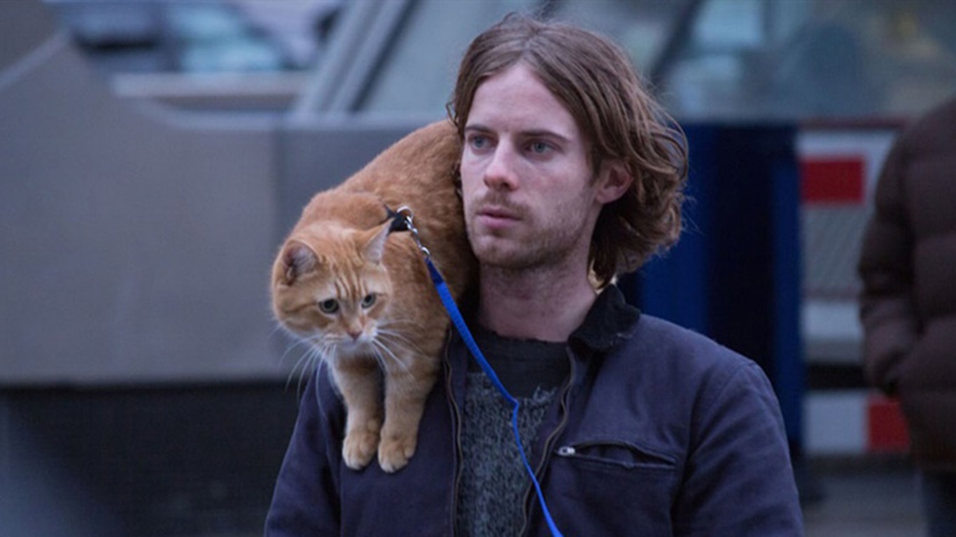 Chu meo truyen cam hung cho ‘A Street Cat Named Bob’ qua doi hinh anh