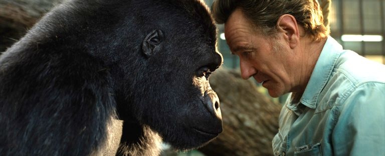 Phim moi cua Angelina Jolie anh 2