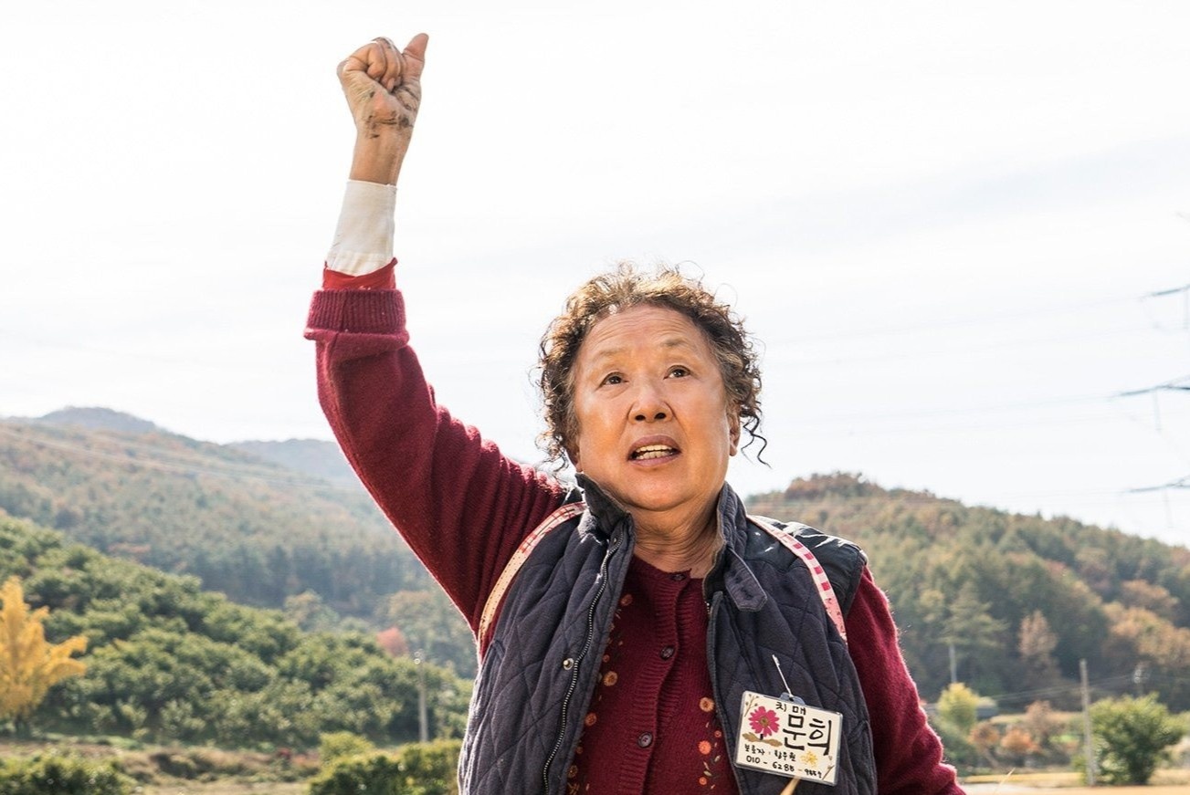 Vi sao nguoi gia duoc dien anh Han Quoc quan tam? hinh anh