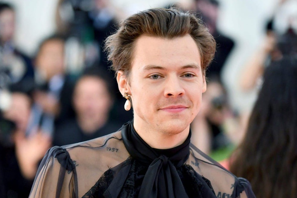 Harry Styles la bieu tuong phong cach cua nam 2020 hinh anh