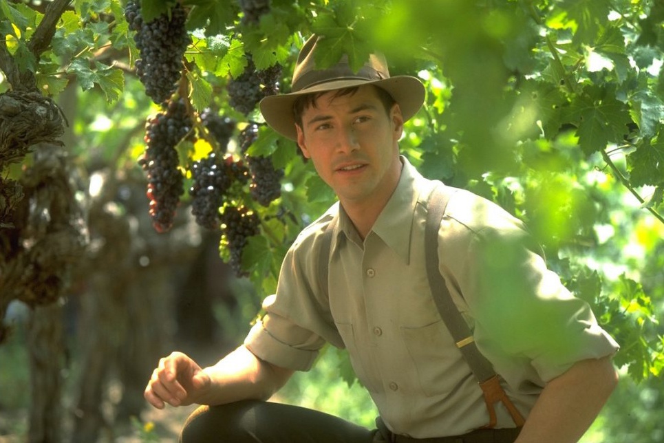 Leonardo DiCaprio va Keanu Reeves anh 2