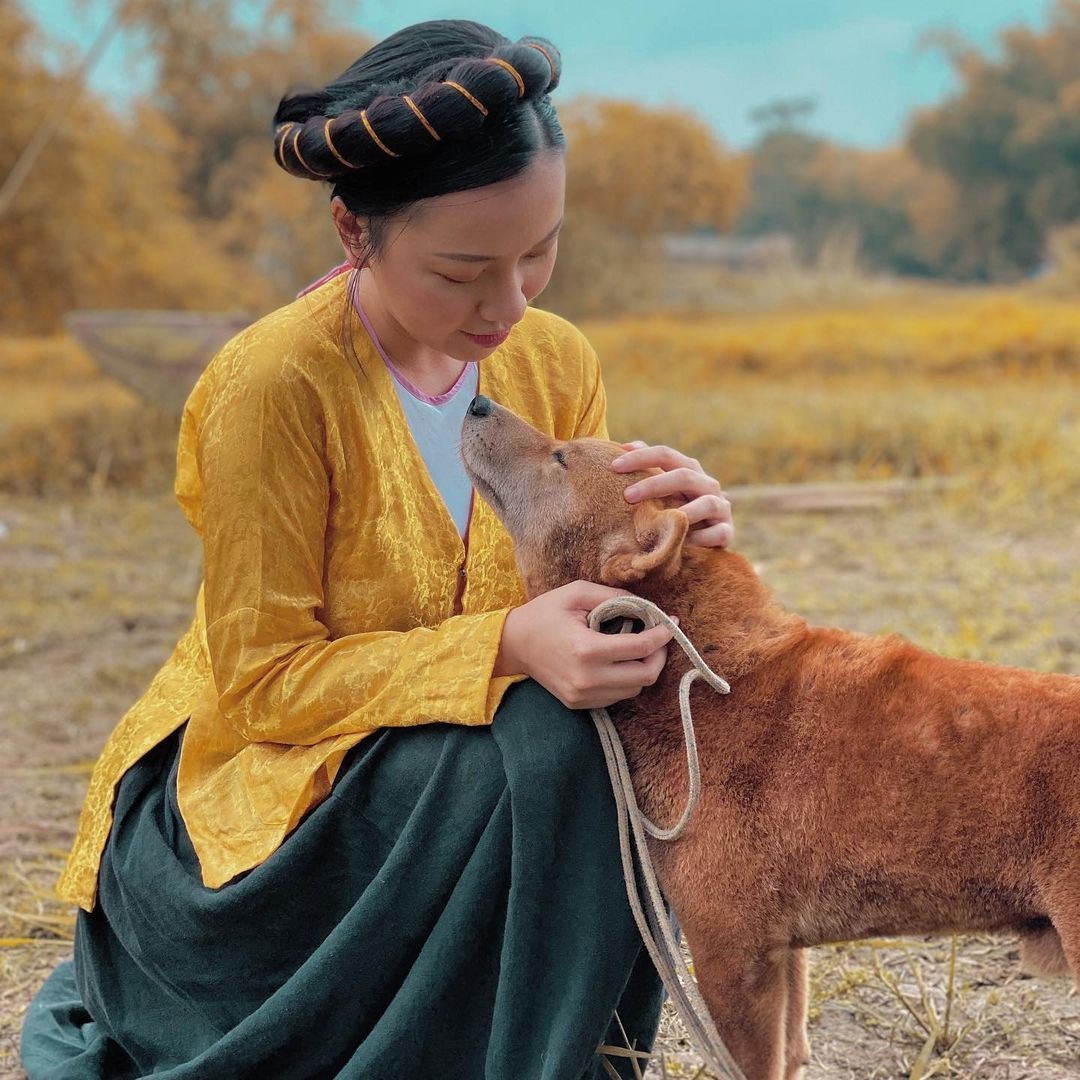 Bang Di phim Cau Vang anh 3