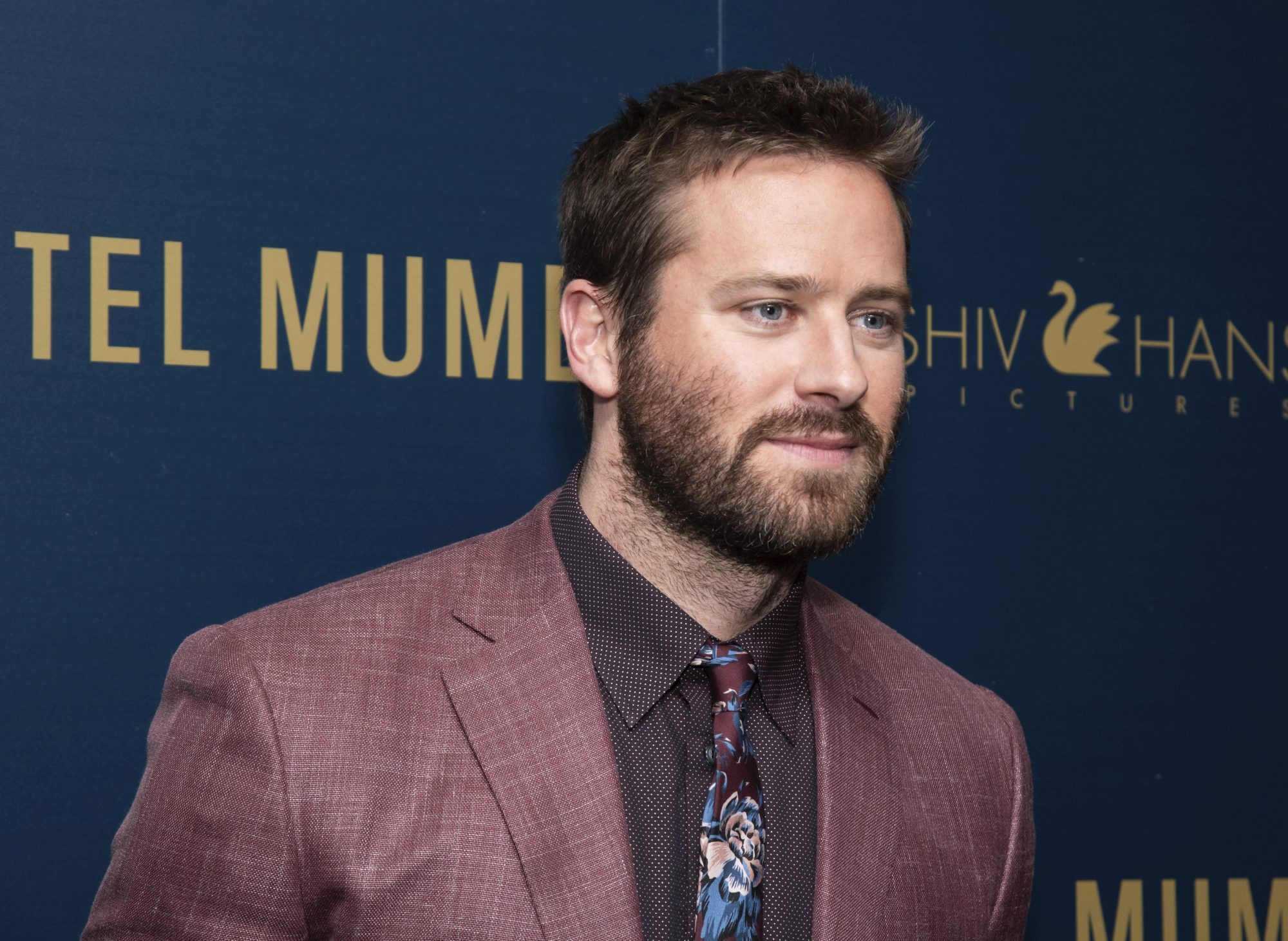 Armie Hammer mat vai anh 1