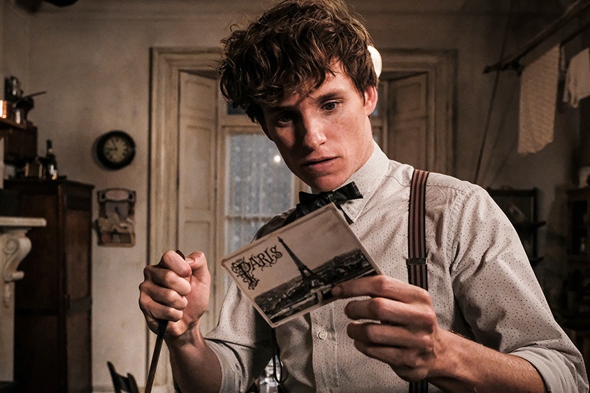 Doan phim ‘Fantastic Beasts 3’ co them nguoi mac Covid-19 hinh anh