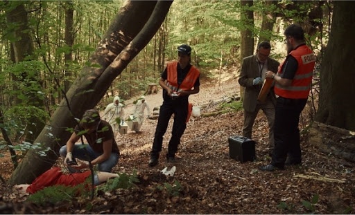 Nhung series truyen hinh dang xem dip Tet anh 10