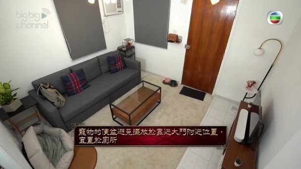 hoa hau Ta Gia Di anh 2