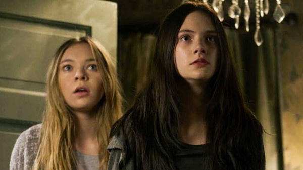 nha san xuat bi kien anh 10