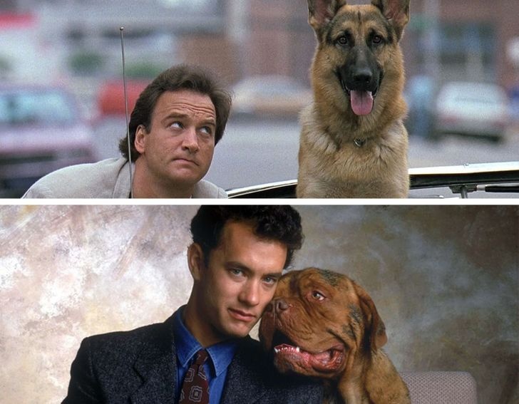 phim co kich ban giong nhau anh 1