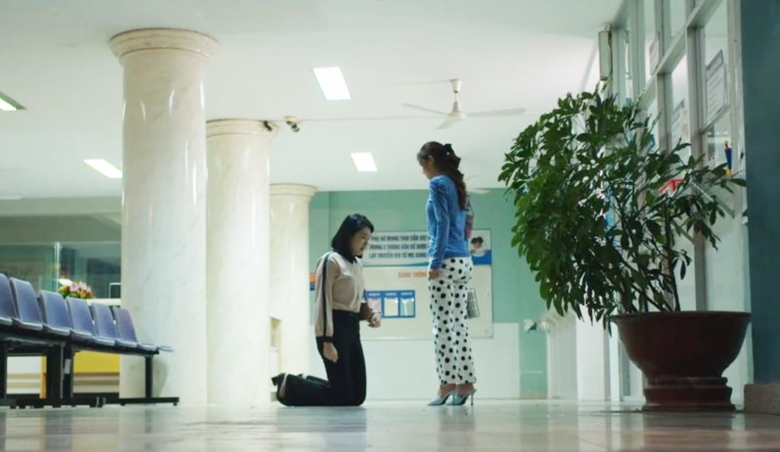 Cay tao no hoa tap cuoi anh 3