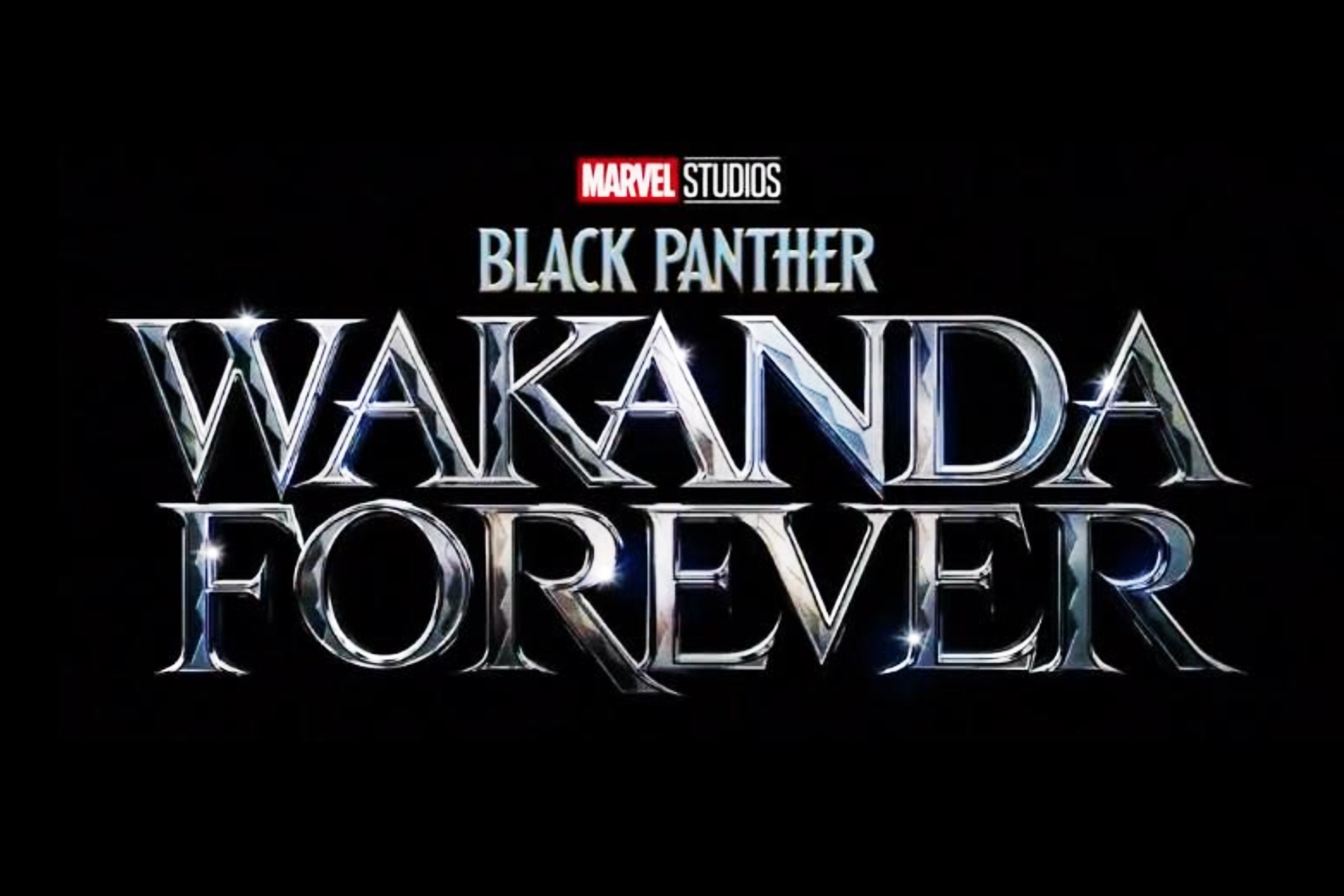 Black Panther: Wakanda Forever anh 2