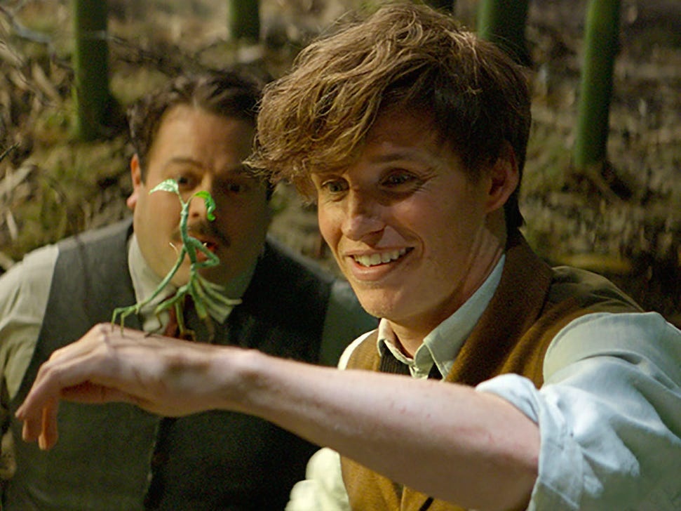 Fantastic Beasts anh 4