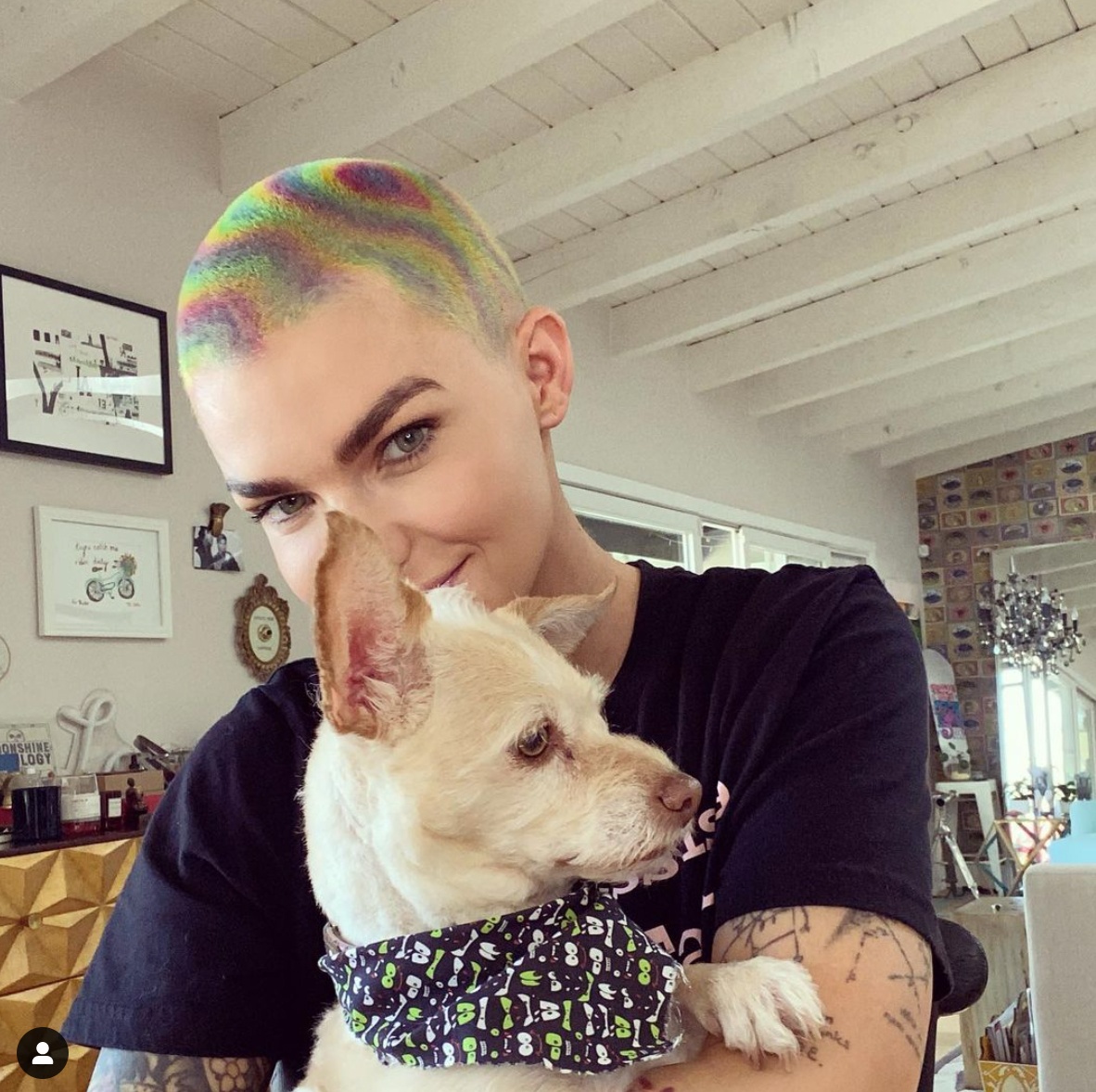 Batwoman ảnh 12 Batwoman anh 12