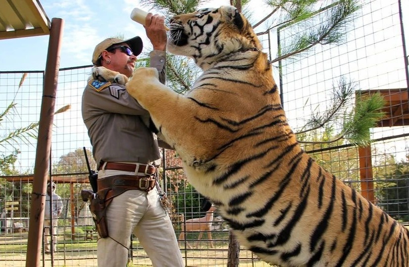 Dien vien phim ‘Tiger King’ tu sat hinh anh