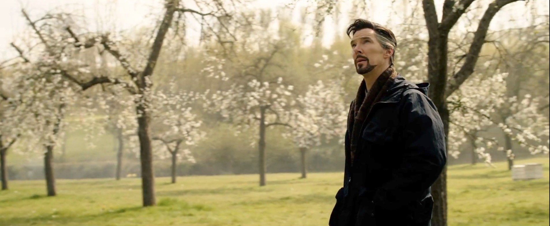 trailer Doctor Strange 2 ảnh 2 trailer Doctor Strange 2 anh 2