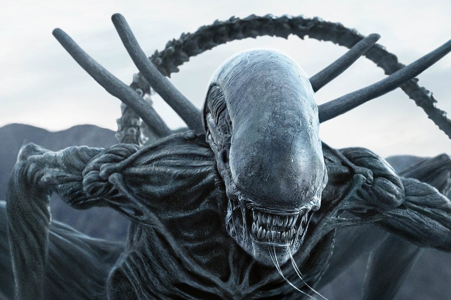 Thuong hieu 'Alien' tiep tuc duoc lam moi bat chap thua lo hinh anh