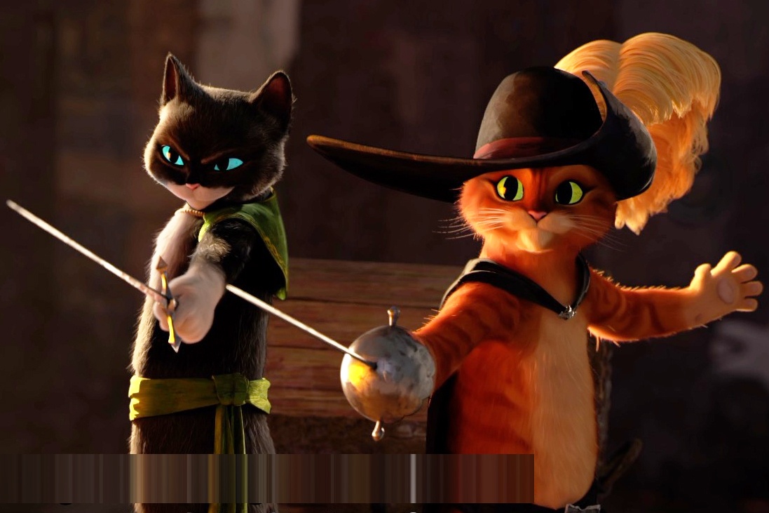 Meo Di Hia tro lai man anh rong sau 11 nam hinh anh