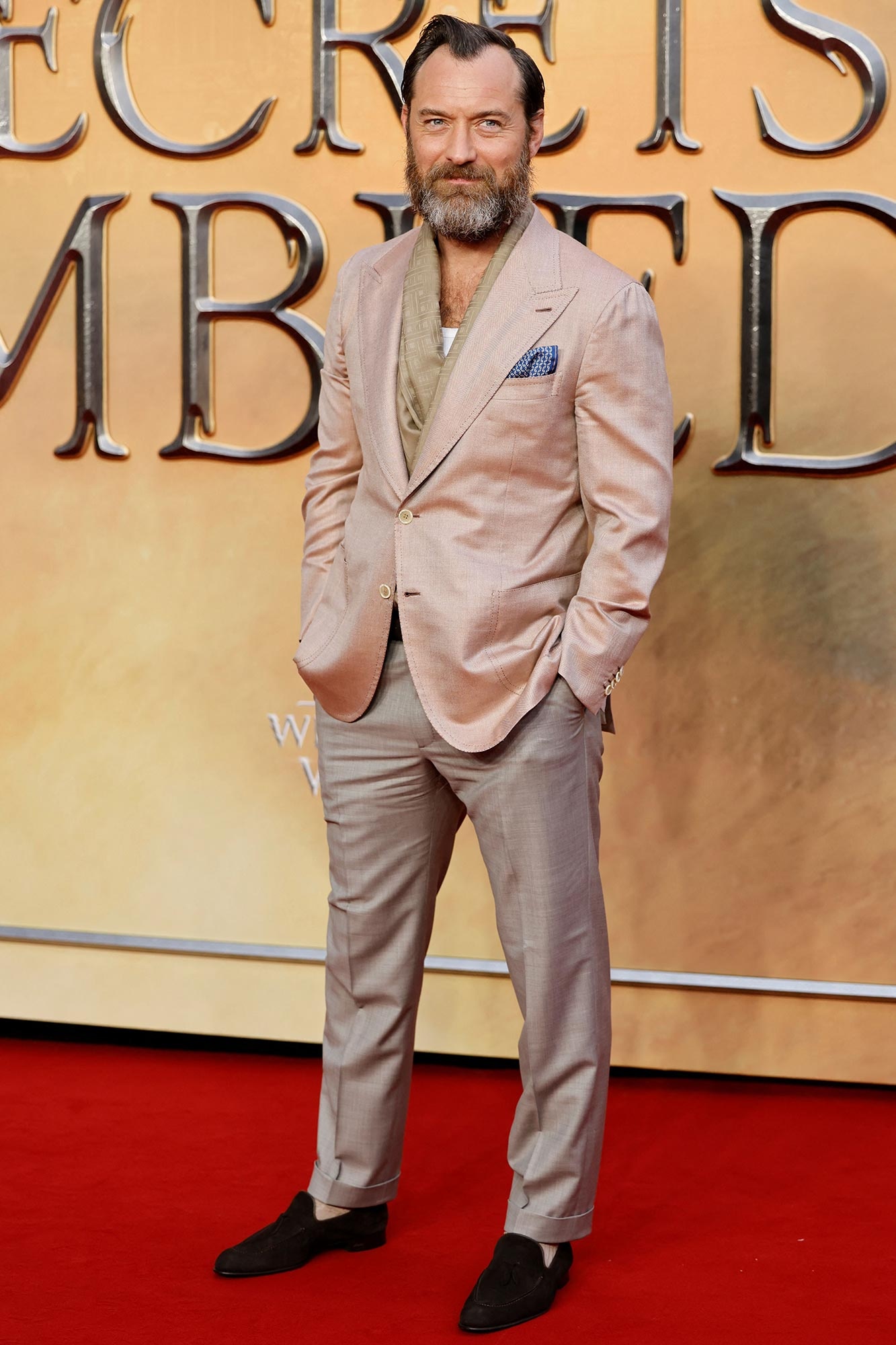 Fantastic Beasts: The Secrets of Dumbledore anh 1