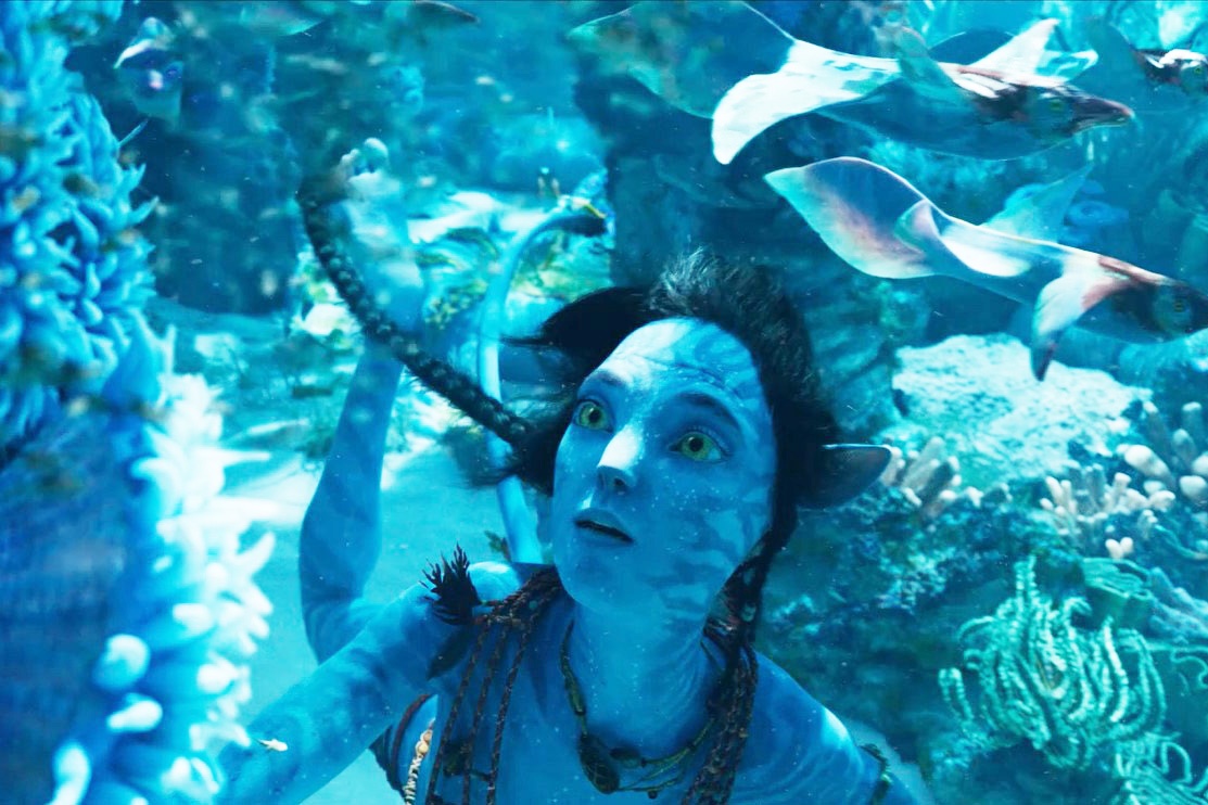 Trailer dau tien cua bom tan 'Avatar: The Way of Water' hinh anh