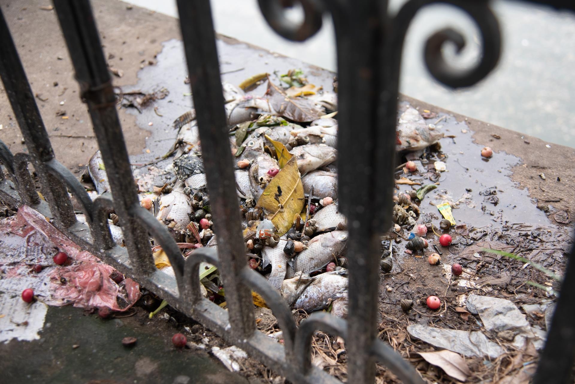 Ca chet tren ho Van Chuong anh 1