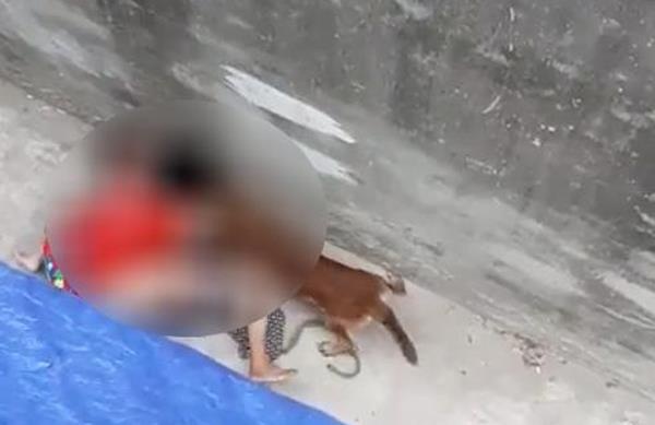 Ba lao bi cho can trong thuong anh 1