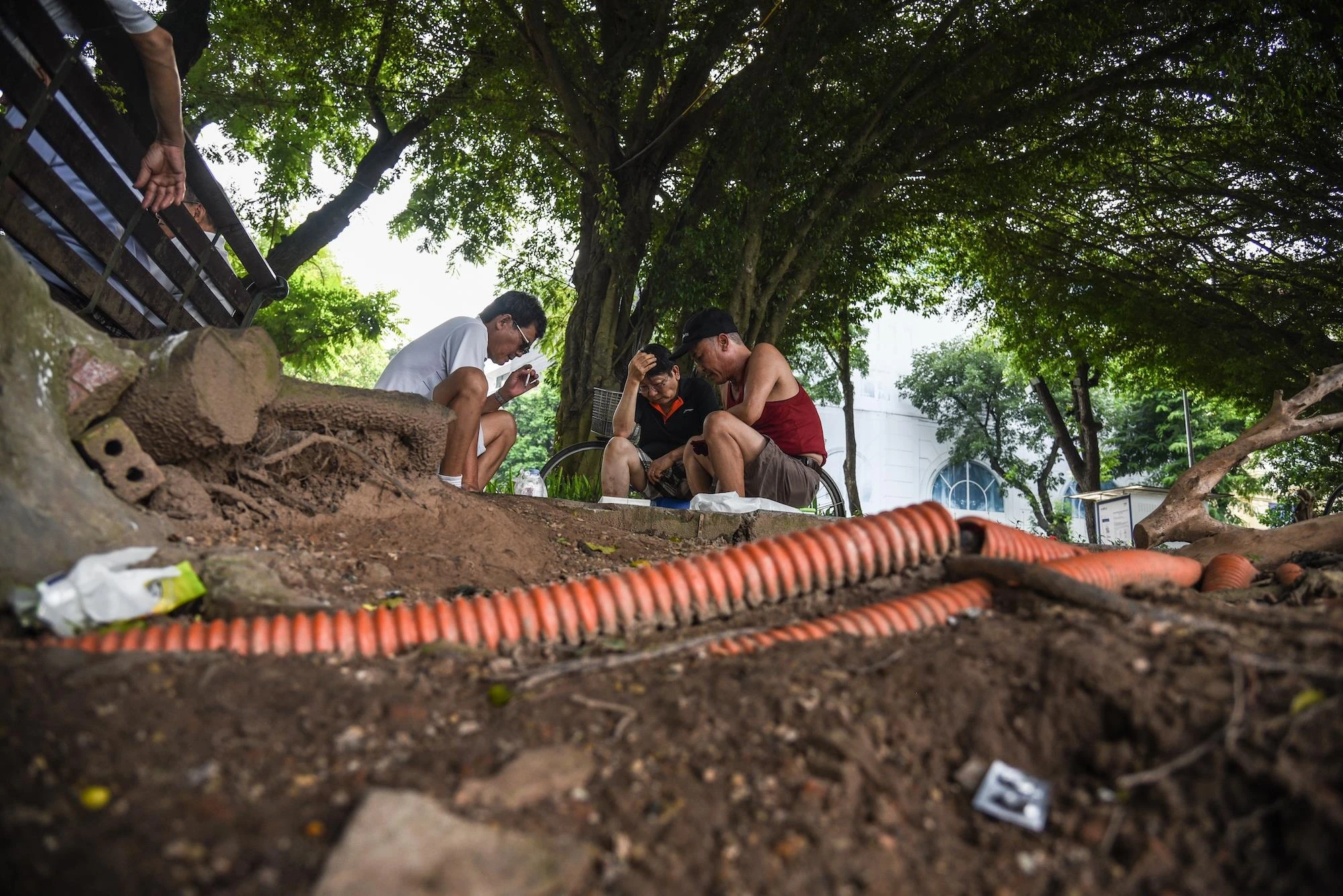 Bo ho Hoan Kiem xuong cap nghiem trong anh 5