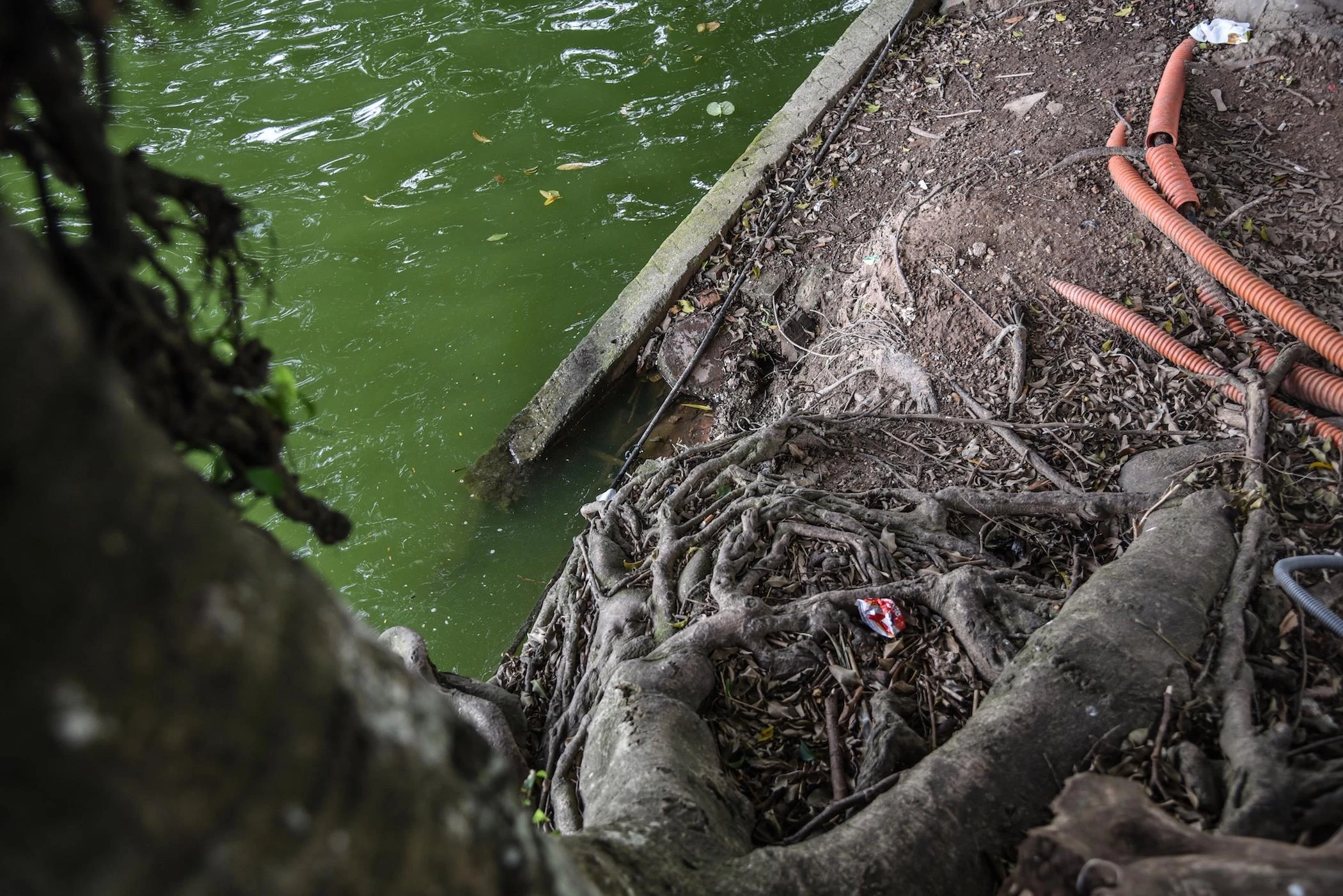 Bo ho Hoan Kiem xuong cap nghiem trong anh 7