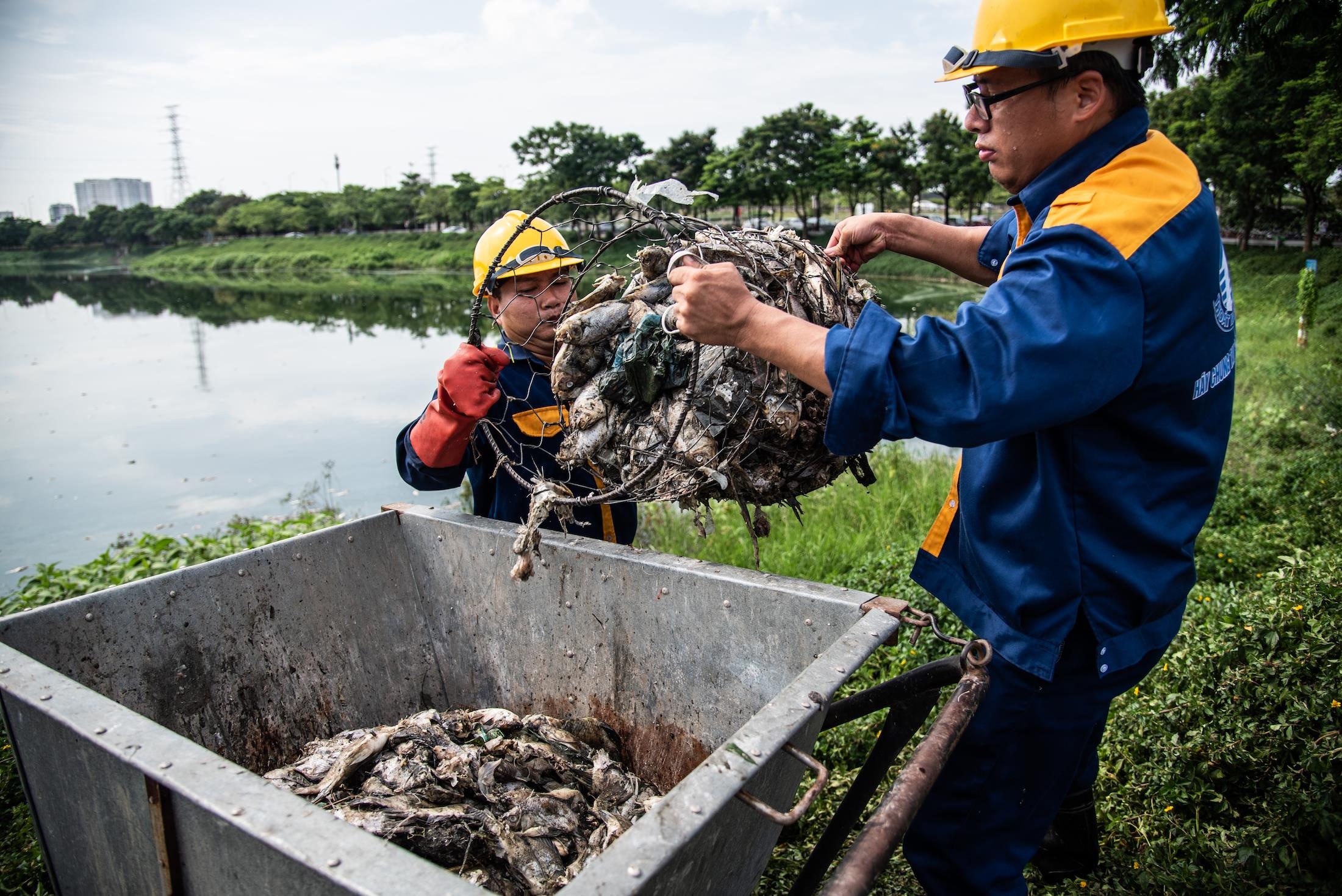 Ca chet hang loat o cong vien Yen So anh 3