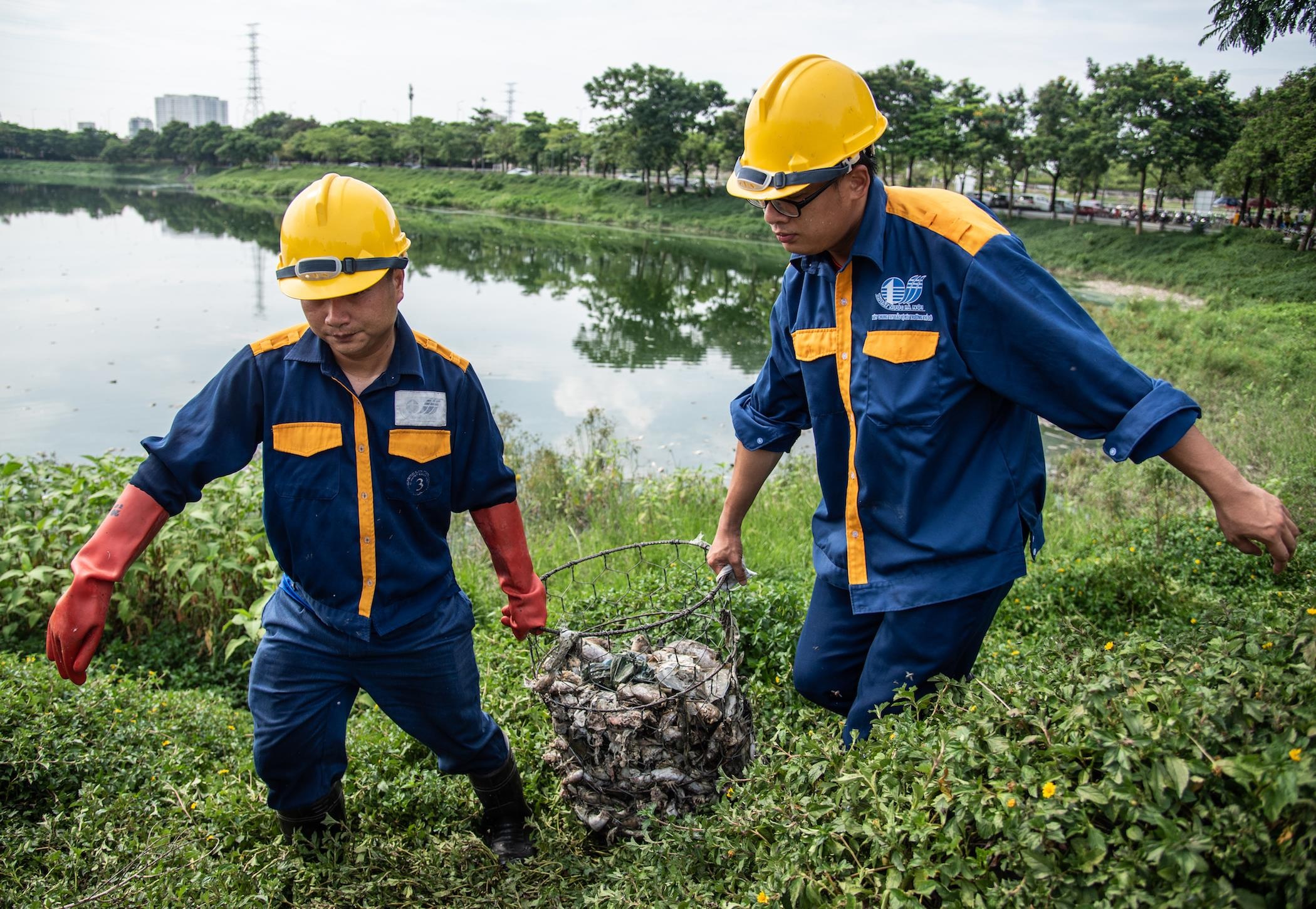 Ca chet hang loat o cong vien Yen So anh 5