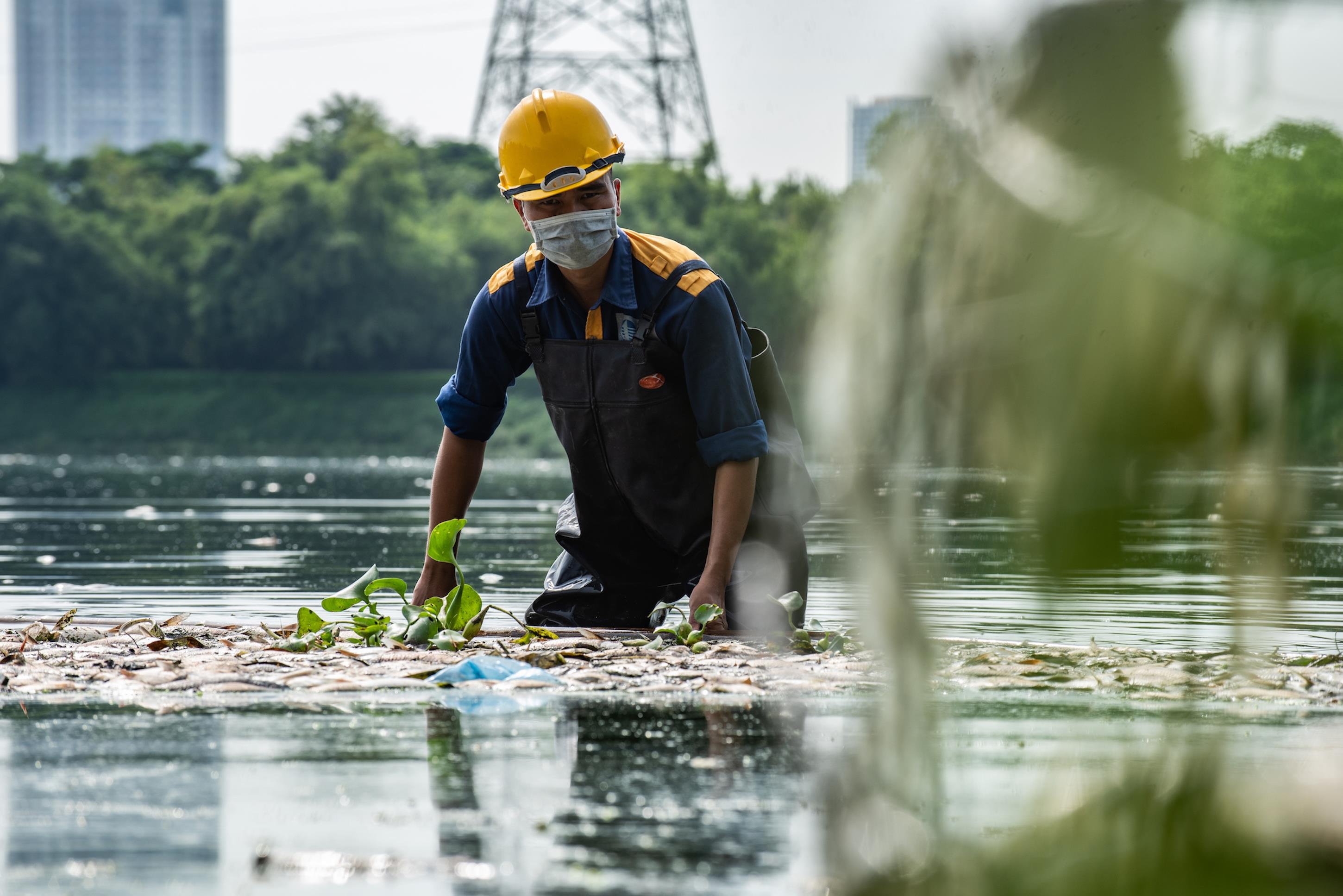 Ca chet hang loat o cong vien Yen So anh 7
