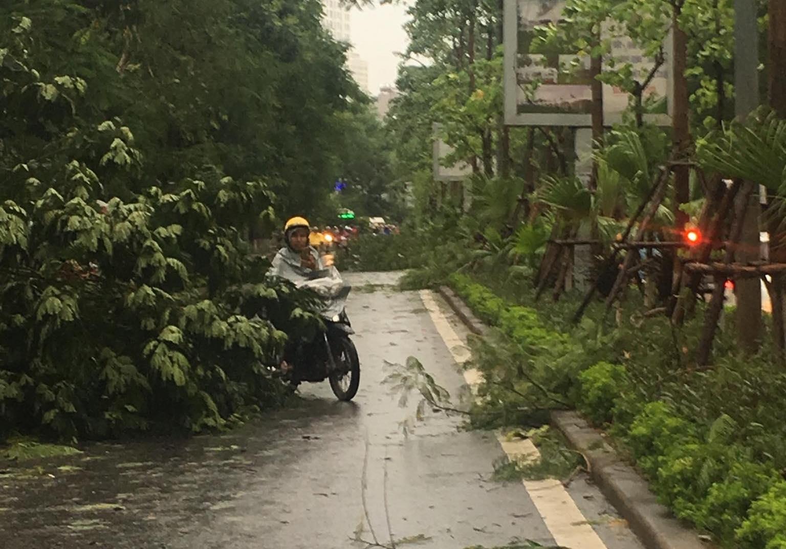 Dong manh bat ngo quat nga nguoi dan, cay do hang loat hinh anh