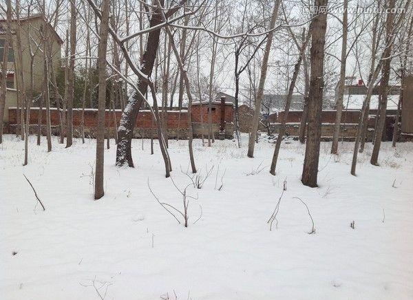 Thi the chay den giua rung tuyet va 2 nguoi con re bi bat sau 9 nam hinh anh