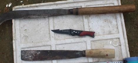 Con bảo vệ mẹ,  giết cha dượng ảnh 1 Con bao ve me,  giet cha duong anh 1