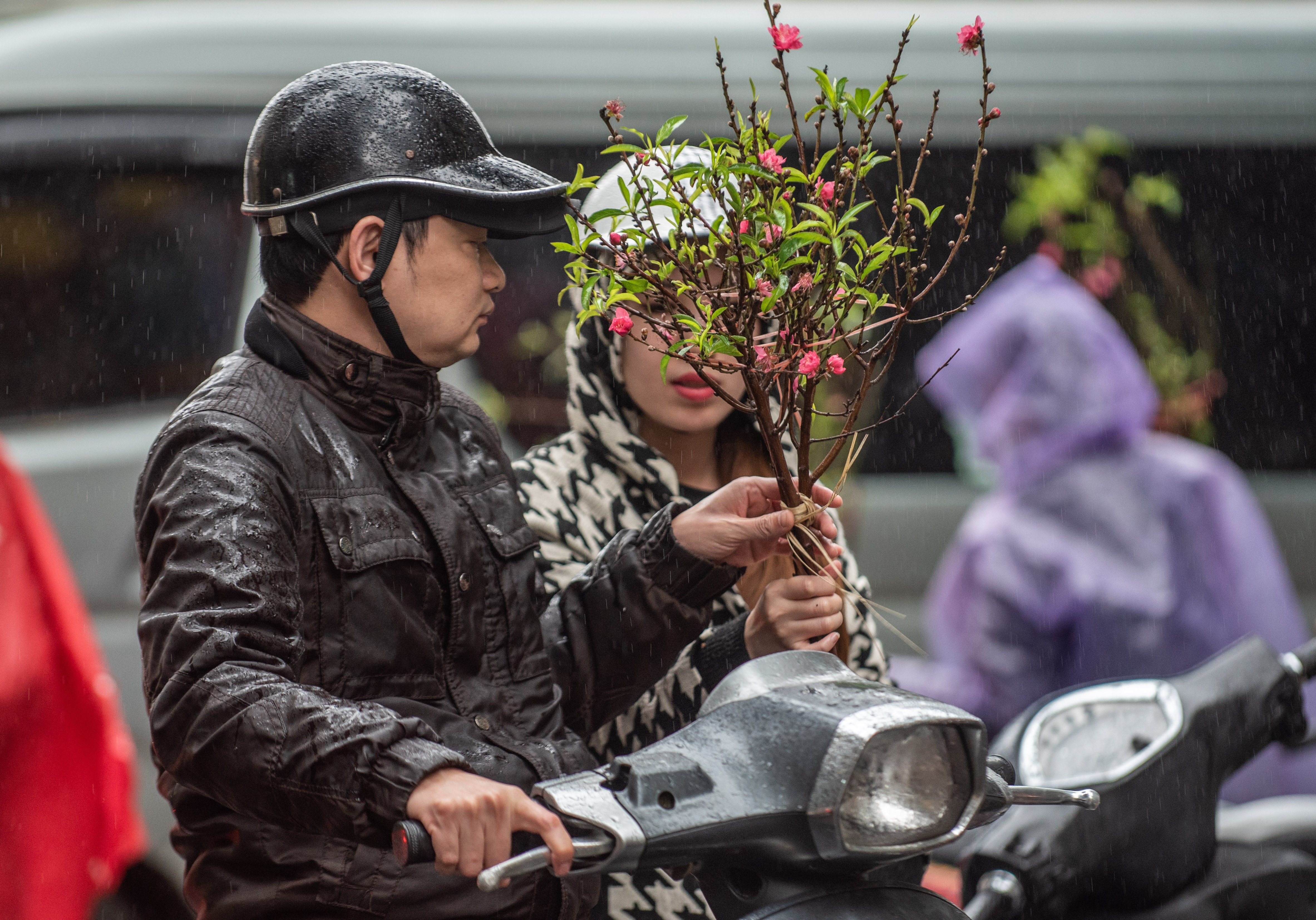 Dao quat mat gia chieu 30 tet anh 10