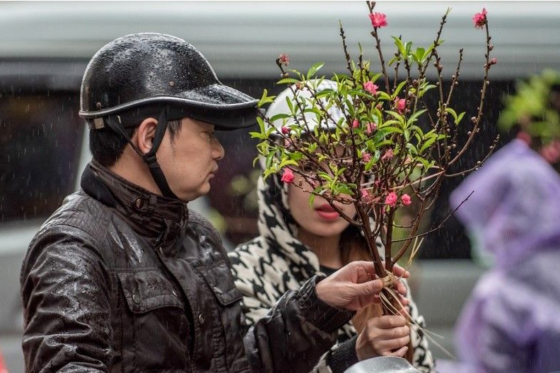 Nguoi Ha Noi doi mua mua dao, quat rot gia chieu 30 Tet hinh anh