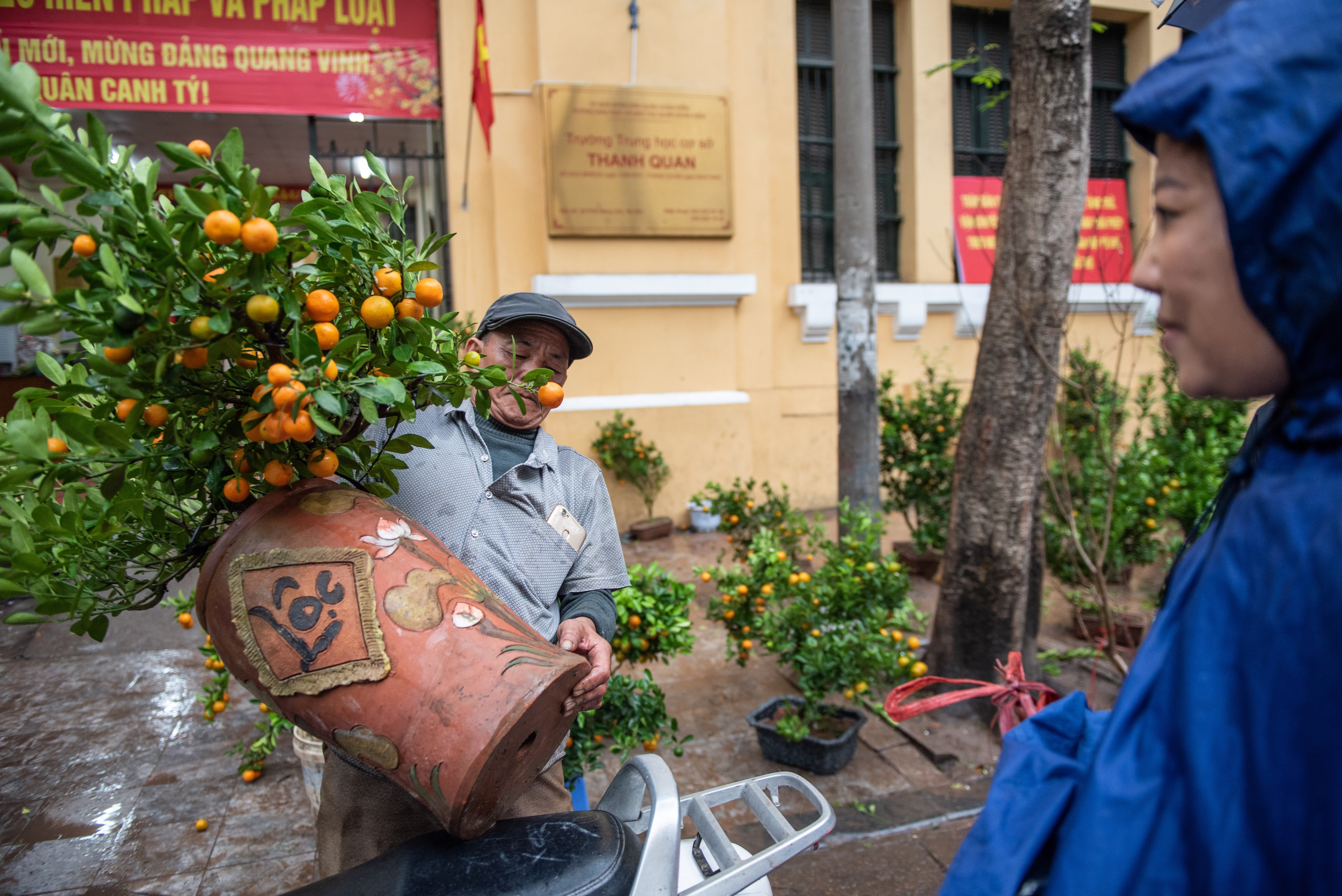 Dao quat mat gia chieu 30 tet anh 8