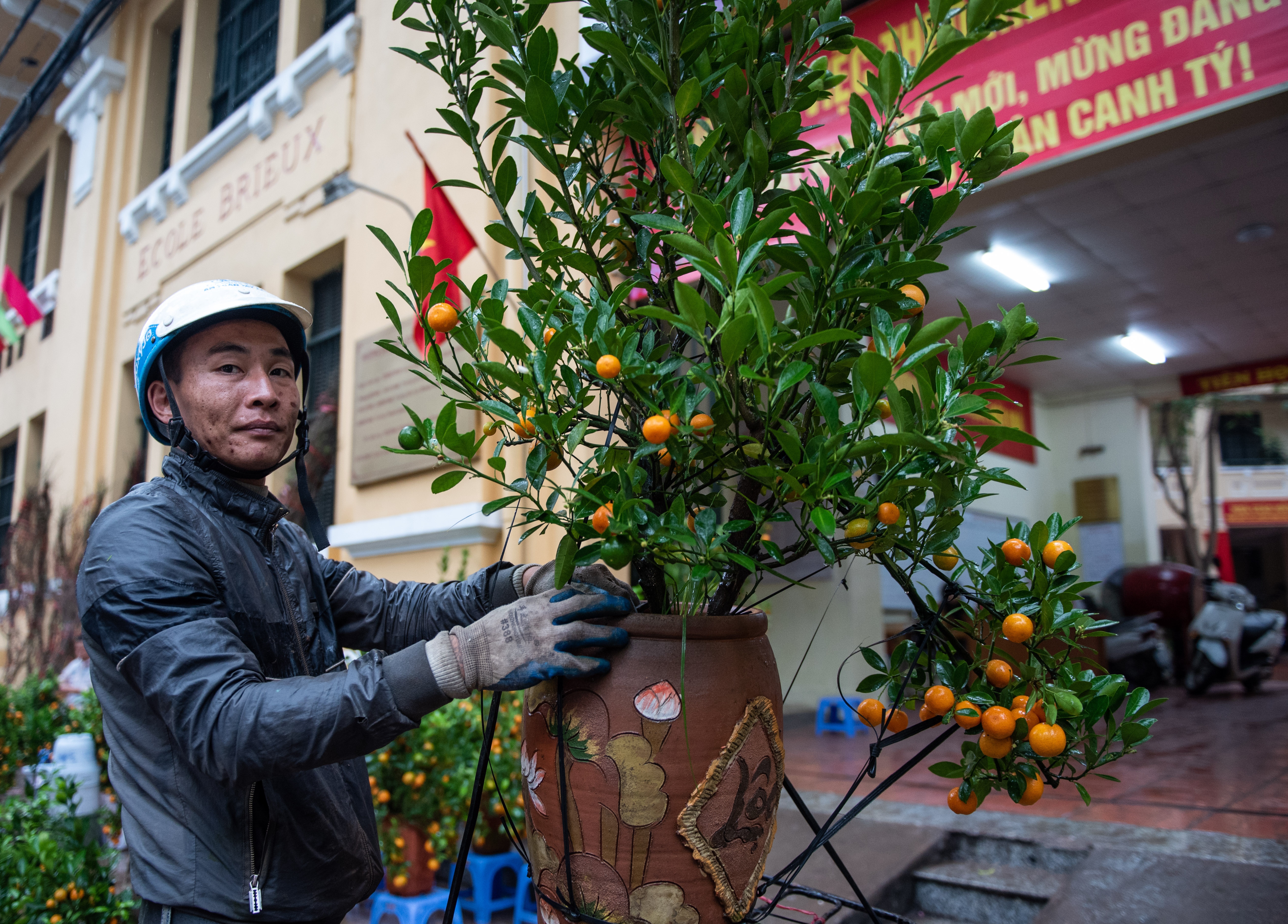 Dao quat mat gia chieu 30 tet anh 7