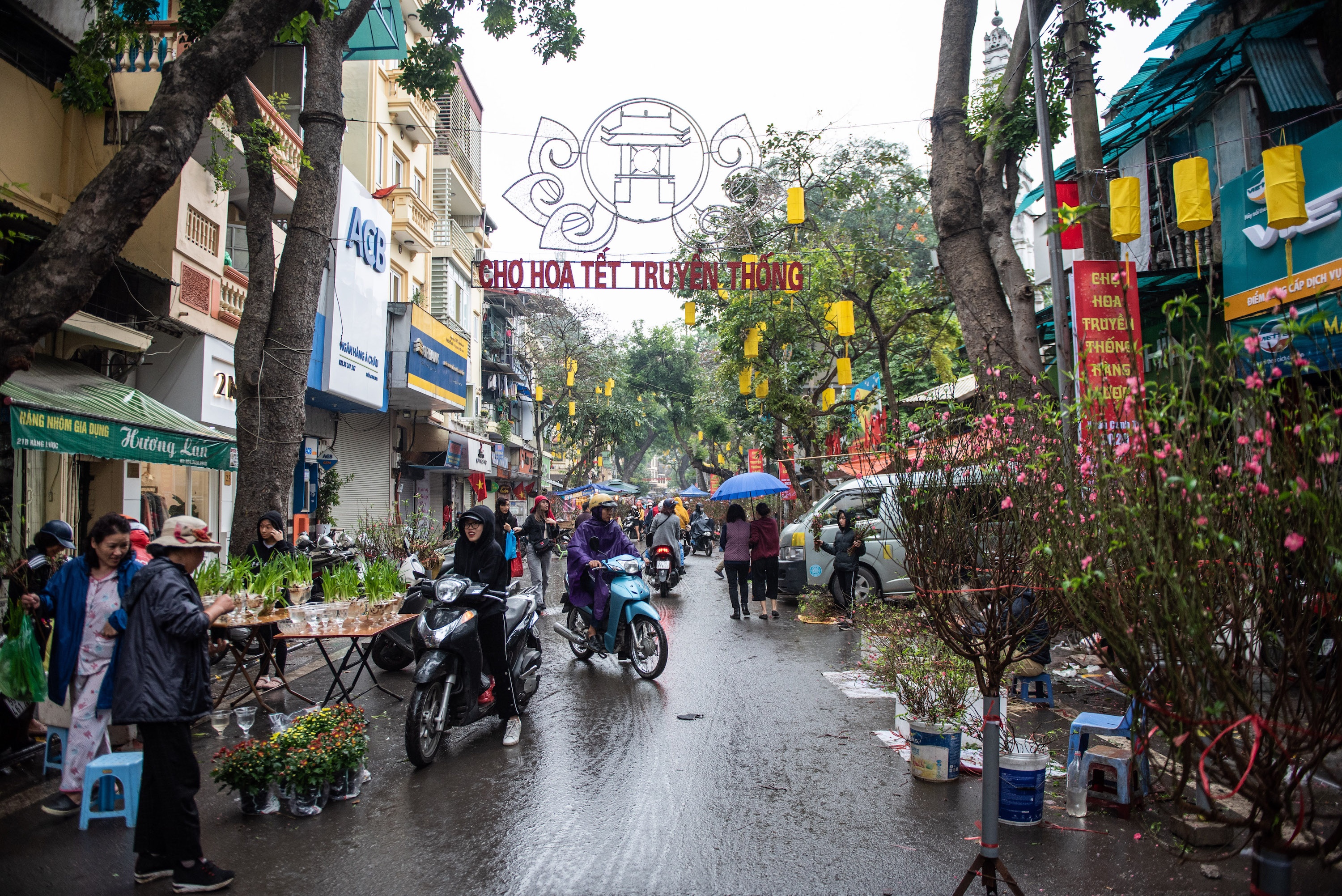 Dao quat mat gia chieu 30 tet anh 1