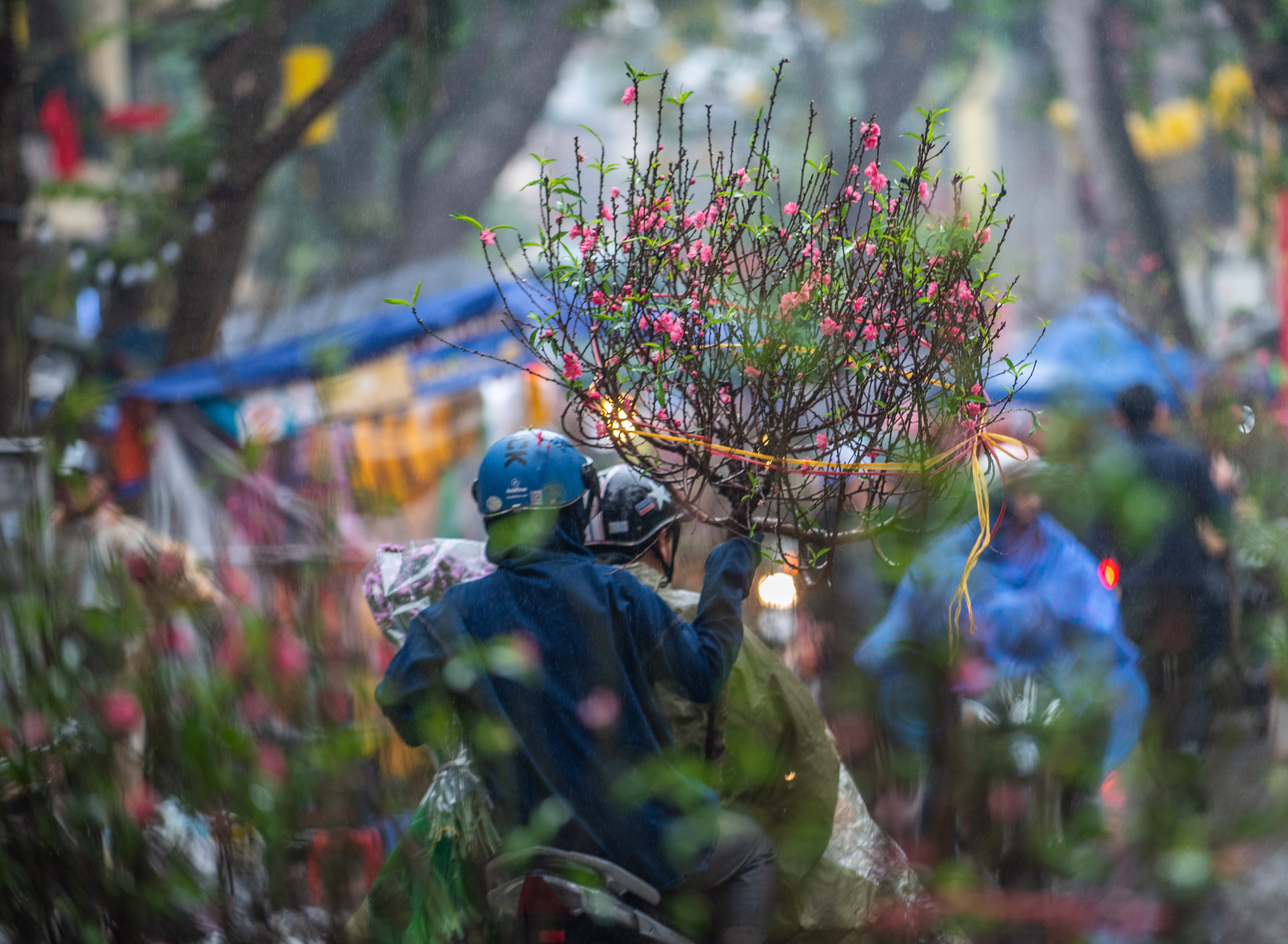 Dao quat mat gia chieu 30 tet anh 11