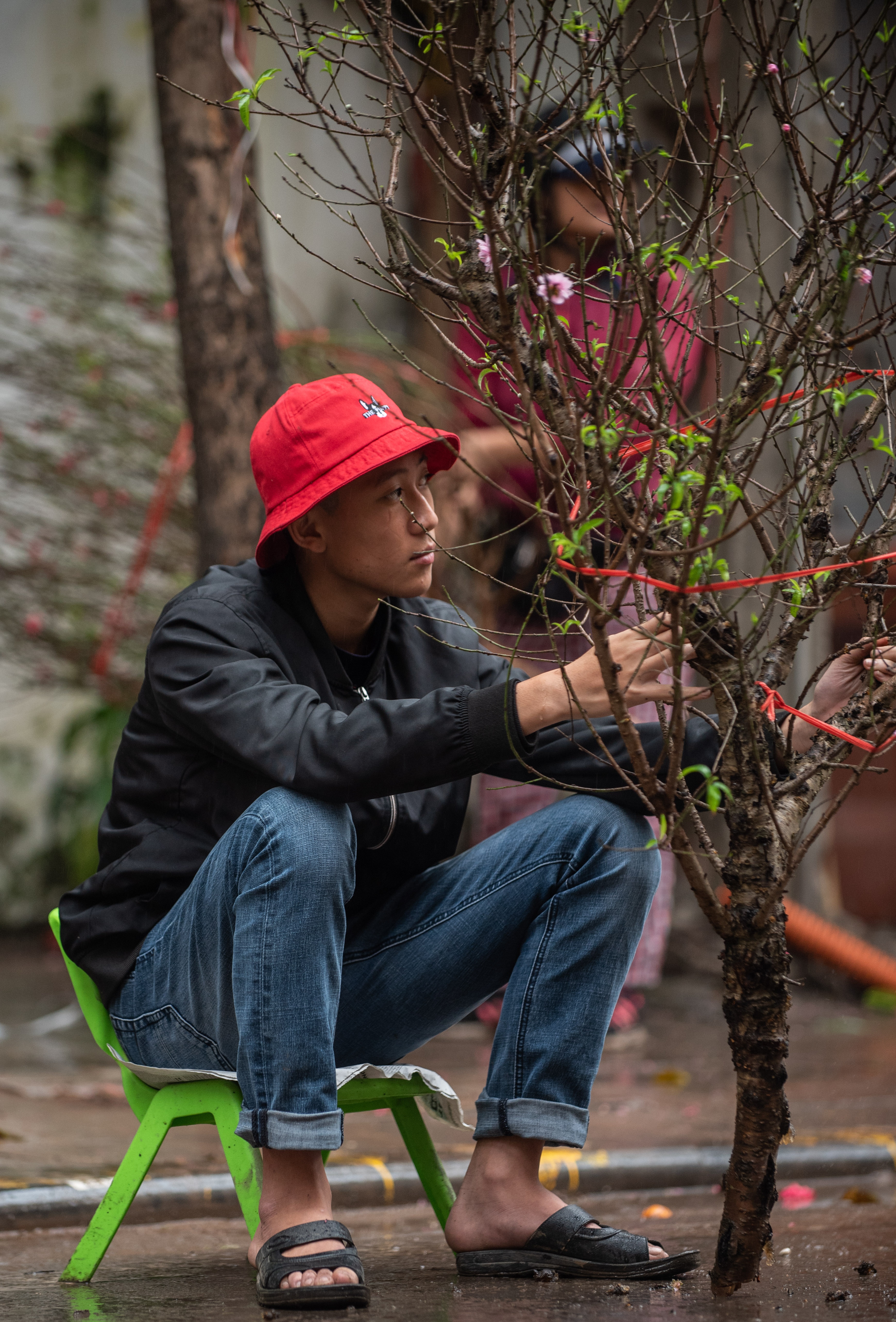 Dao quat mat gia chieu 30 tet anh 3