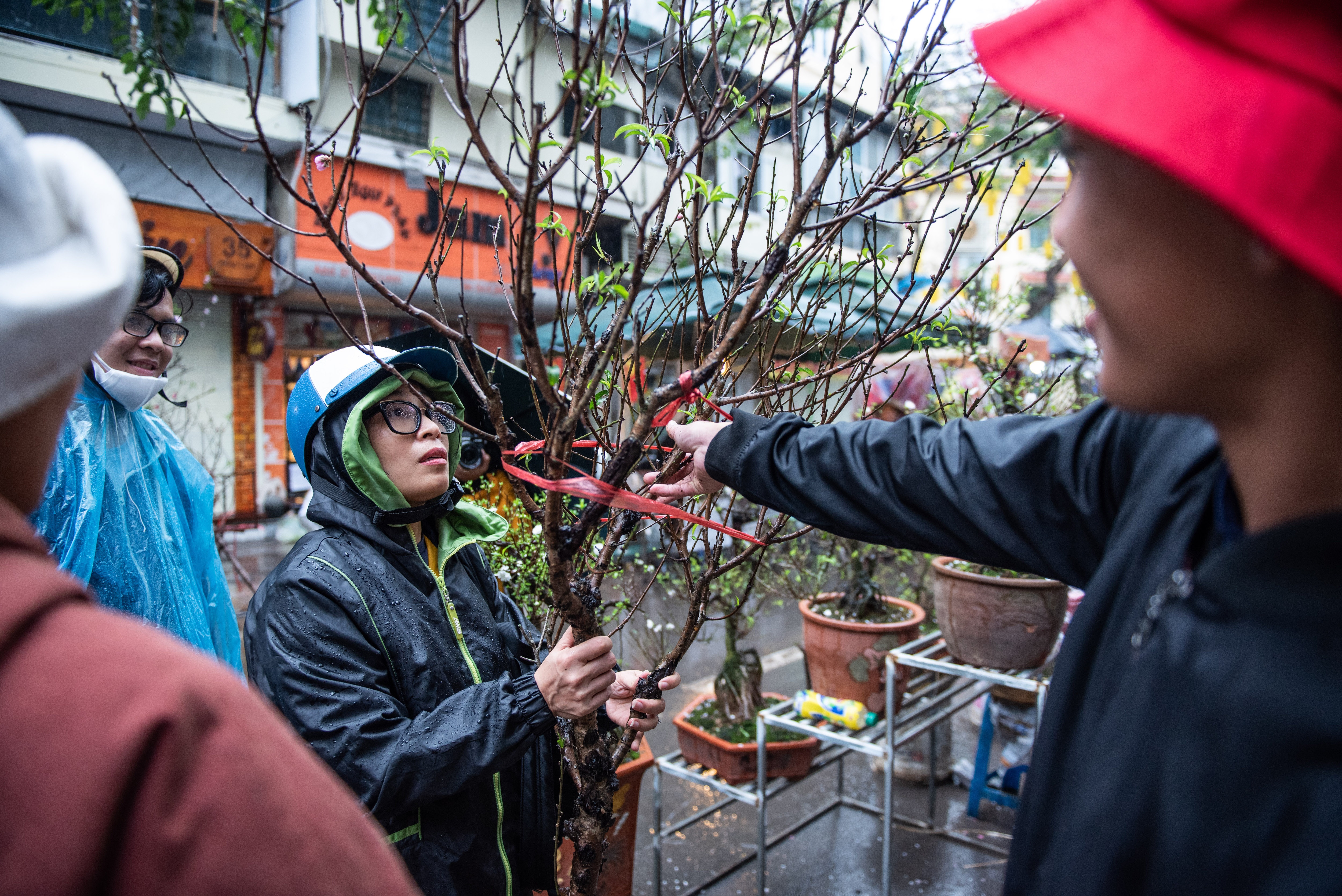 Dao quat mat gia chieu 30 tet anh 4