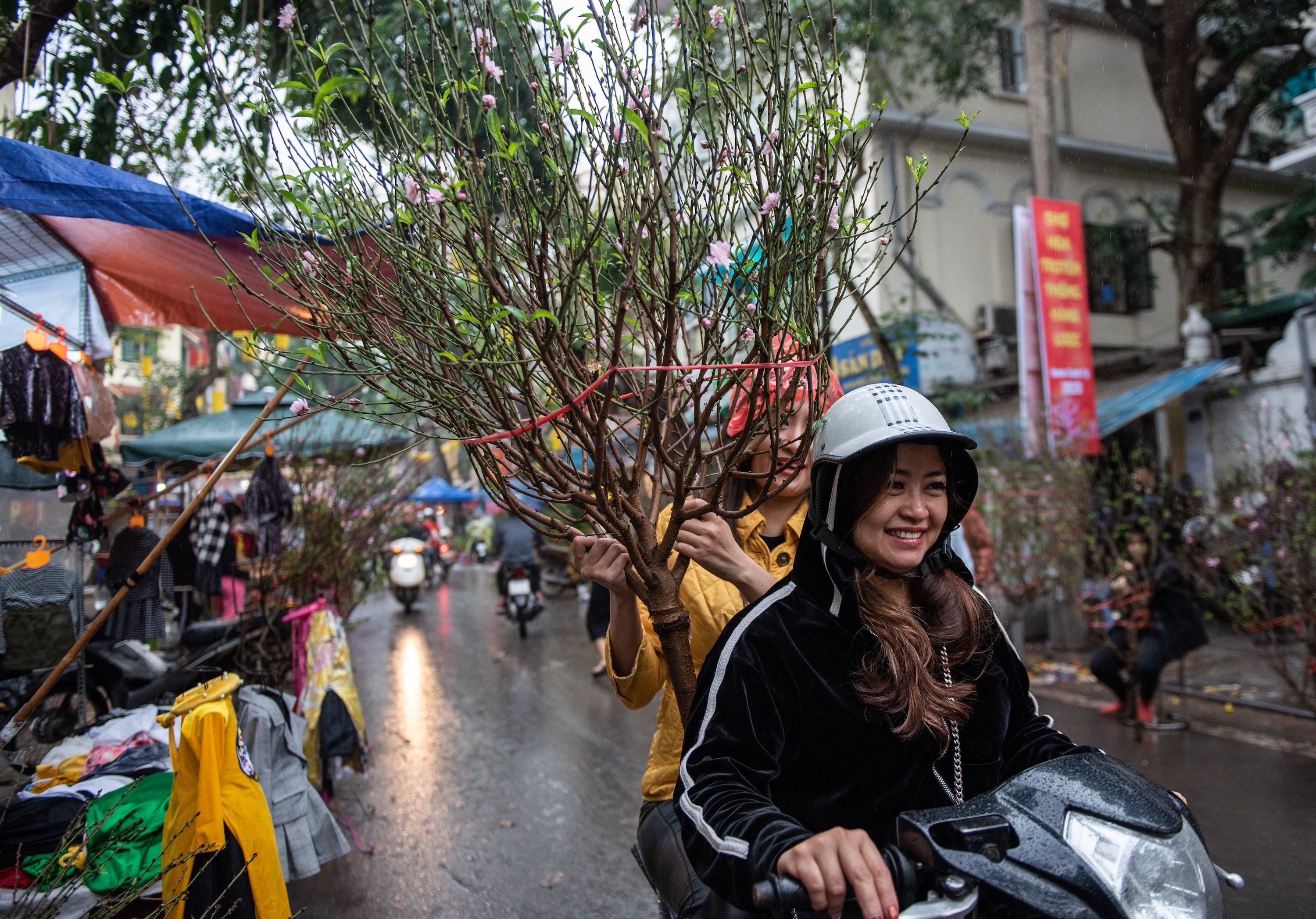 Dao quat mat gia chieu 30 tet anh 2