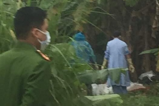 Phat hien thi the dang phan huy trong bui chuoi hinh anh