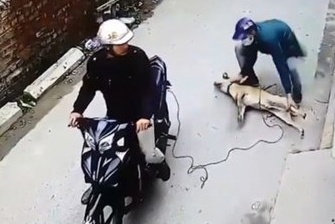 Tu vong khi duoi bat 2 ten trom cho hinh anh